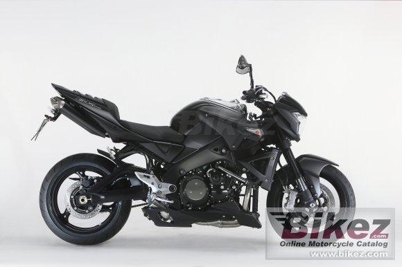 2010 Suzuki B-King Hyaku photo